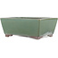 Maceta rectangular para bonsái verde de Yamaaki - 250 x 185 x 95 mm