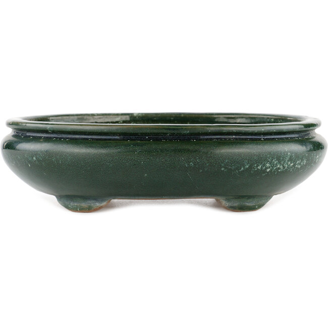 Pot à bonsaï ovale vert par Shuhou - 290 x 230 x 80 mm