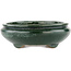 Oval green bonsai pot by Shuhou - 290 x 230 x 80 mm