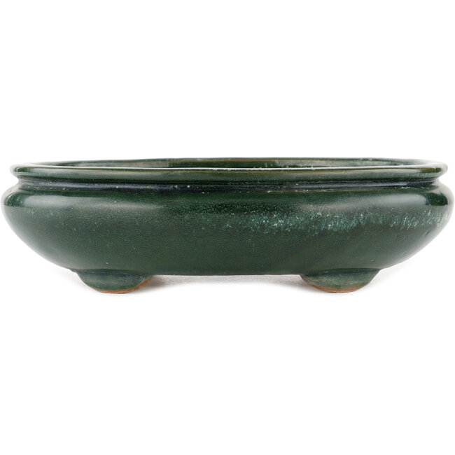 Vaso bonsai ovale verde di Shuhou - 290 x 230 x 80 mm