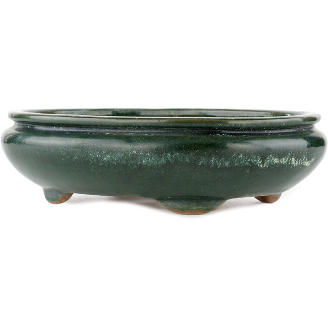 Pot à bonsaï ovale vert par Shuhou - 290 x 230 x 80 mm