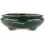 Oval green bonsai pot by Shuhou - 290 x 230 x 80 mm