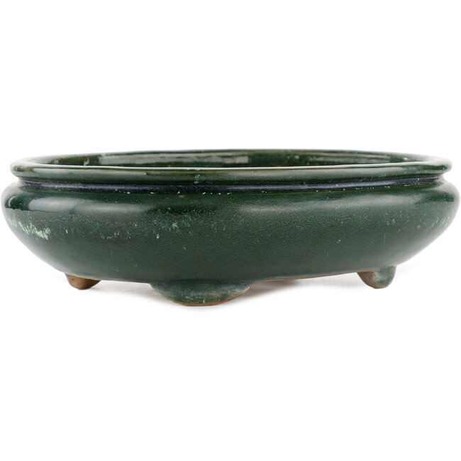 Maceta ovalada para bonsái verde de Shuhou - 290 x 230 x 80 mm