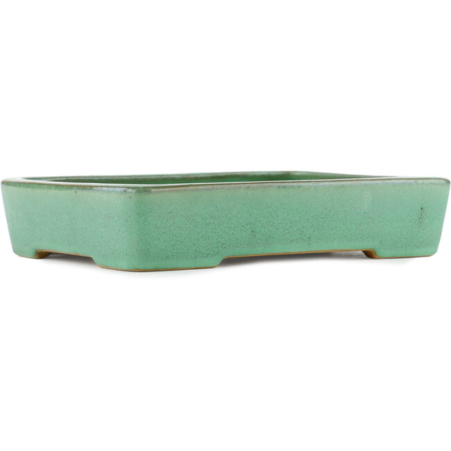 Pot à bonsaï vert rectangulaire par Yamafusa - 285 x 220 x 55 mm
