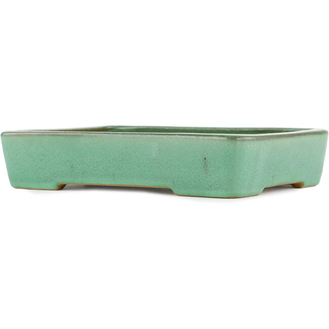 Vaso bonsai rettangolare verde di Yamafusa - 285 x 220 x 55 mm