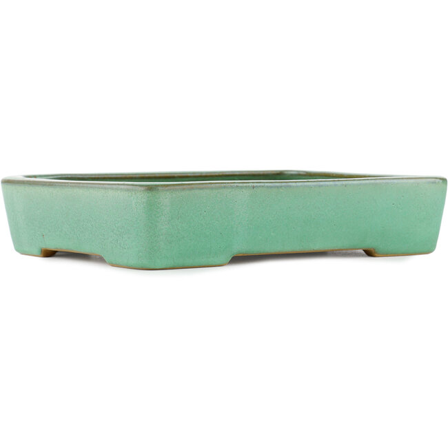 Maceta rectangular para bonsái verde de Yamafusa - 285 x 220 x 55 mm