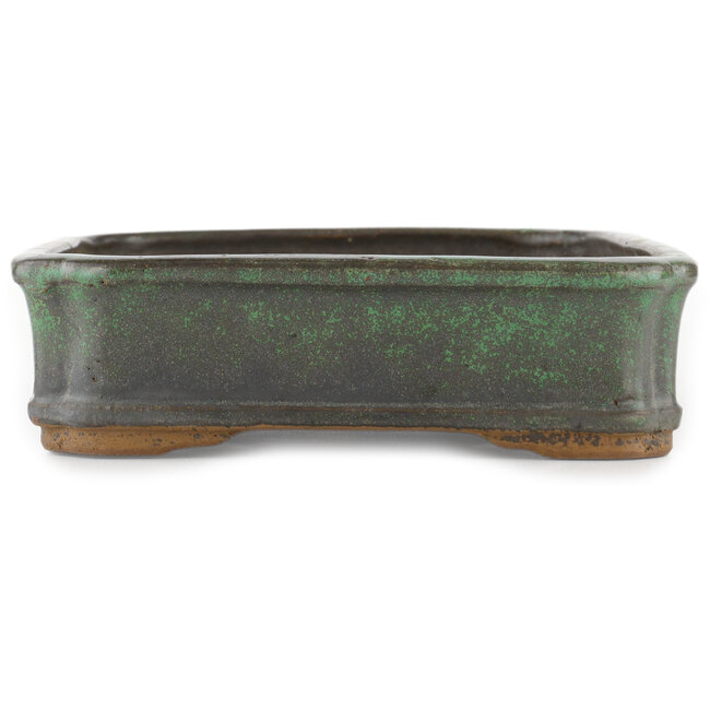Pot à bonsaï vert rectangulaire par Shuhou - 315 x 215 x 60 mm