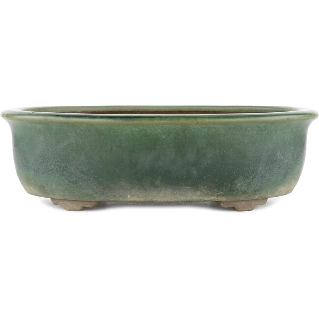 Pot à bonsaï ovale vert par Yamaaki - 310 x 245 x 85 mm