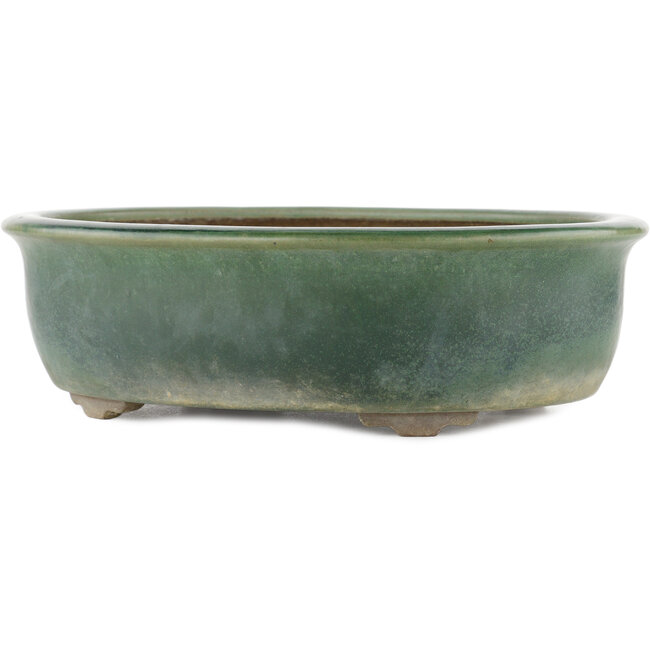 Pot à bonsaï ovale vert par Yamaaki - 310 x 245 x 85 mm