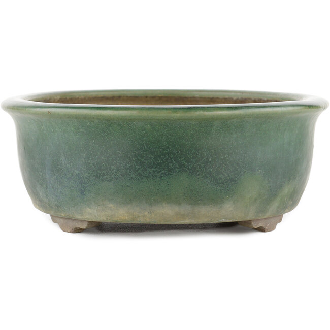 Vaso bonsai ovale verde di Yamaaki - 310 x 245 x 85 mm