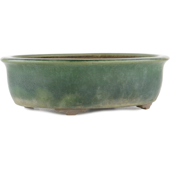Maceta ovalada para bonsái verde de Yamaaki - 310 x 245 x 85 mm