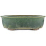 Ovaler grüner Bonsai-Topf von Yamaaki - 310 x 245 x 85 mm