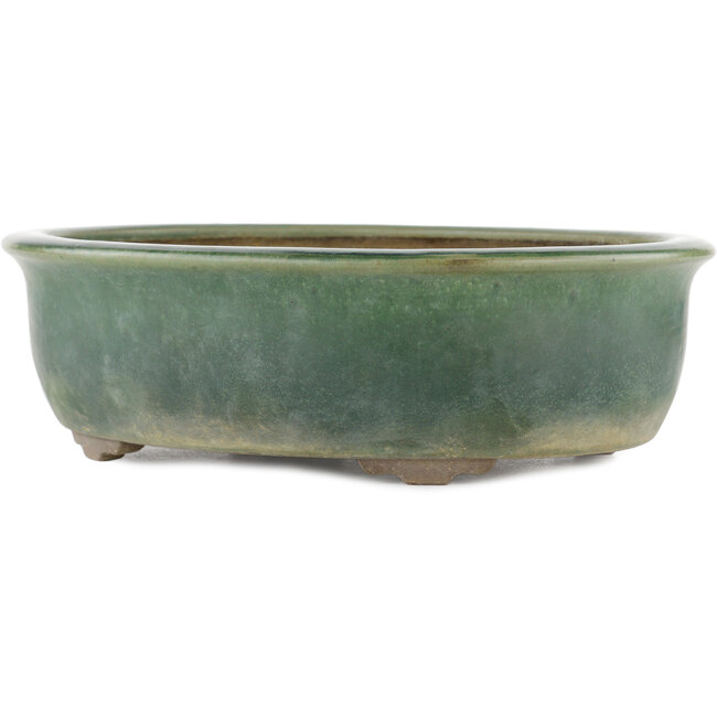Pot à bonsaï ovale vert par Yamaaki - 310 x 245 x 85 mm