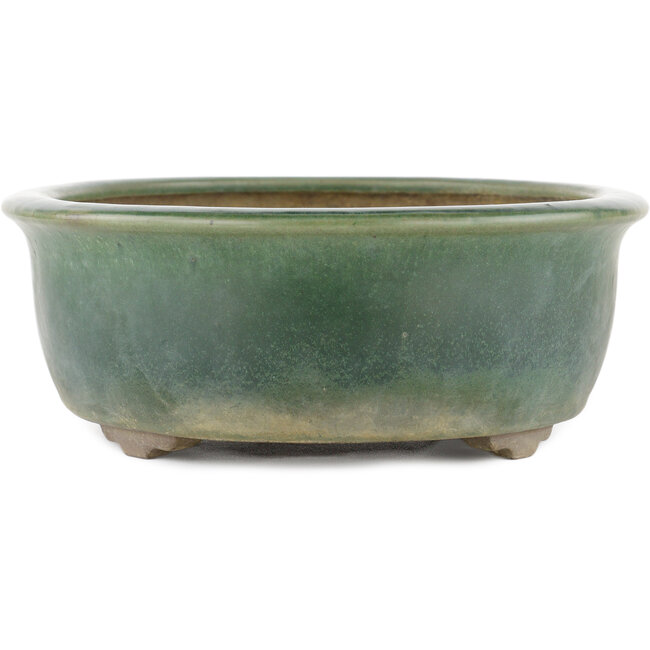 Pot à bonsaï ovale vert par Yamaaki - 310 x 245 x 85 mm