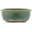 Ovaler grüner Bonsai-Topf von Yamaaki - 310 x 245 x 85 mm