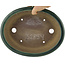 Pot à bonsaï ovale vert par Yamaaki - 310 x 245 x 85 mm