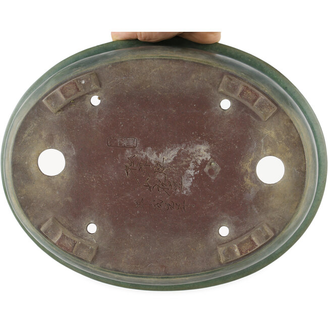 Pot à bonsaï ovale vert par Yamaaki - 310 x 245 x 85 mm