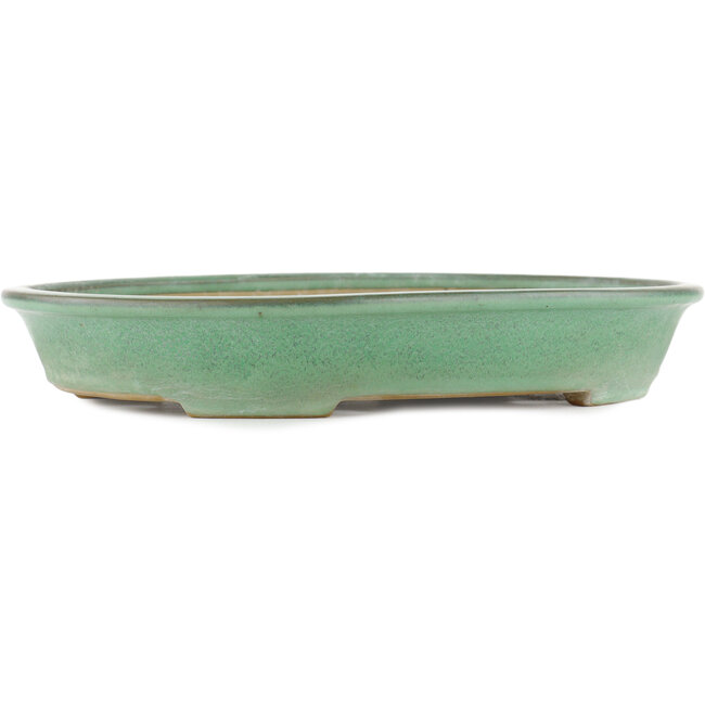 Vaso bonsai ovale verde di Yamaaki - 340 x 265 x 50 mm