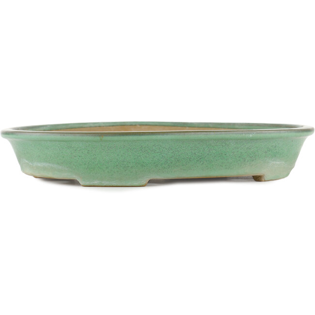 Vaso bonsai ovale verde di Yamaaki - 340 x 265 x 50 mm