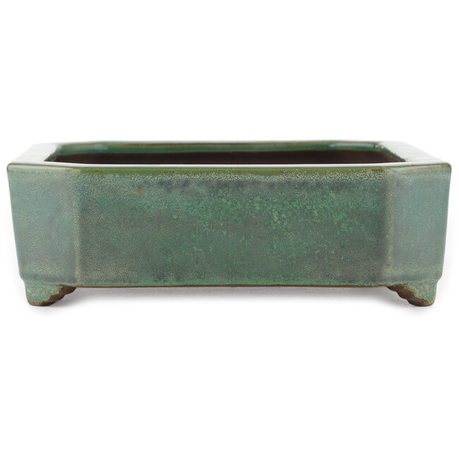 Pot à bonsaï vert rectangulaire par Yamaaki - 315 x 240 x 75 mm