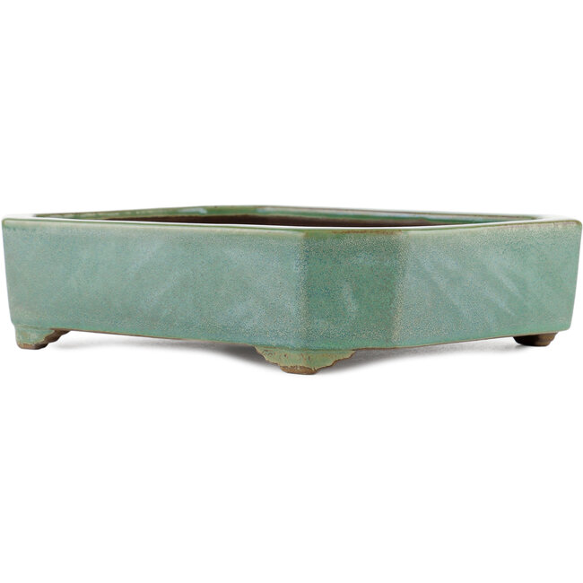Maceta rectangular para bonsái verde de Yamaaki - 315 x 240 x 75 mm