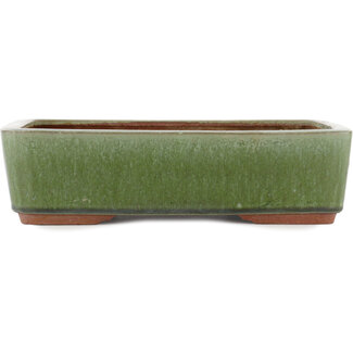  Eimei ( Yozan kiln) Maceta rectangular para bonsái verde de 300 mm de Eime Yozan, Tokoname, Japón
