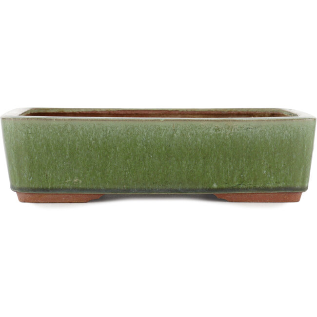 Maceta rectangular para bonsái verde de Eime Yozan - 300 x 230 x 75 mm