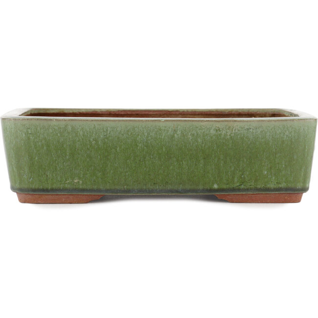 Rectangular green bonsai pot by Eime Yozan - 300 x 230 x 75 mm