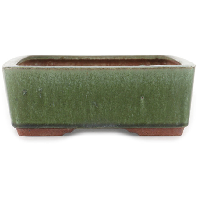 Rectangular green bonsai pot by Eime Yozan - 300 x 230 x 75 mm