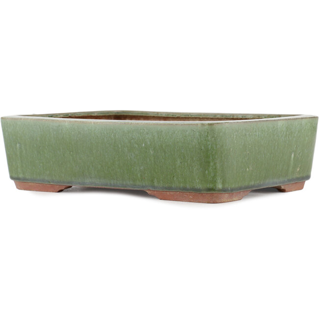 Vaso bonsai rettangolare verde di Eime Yozan - 300 x 230 x 75 mm