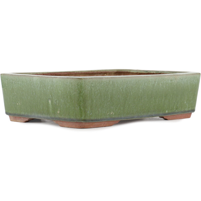 Vaso bonsai rettangolare verde di Eime Yozan - 300 x 230 x 75 mm