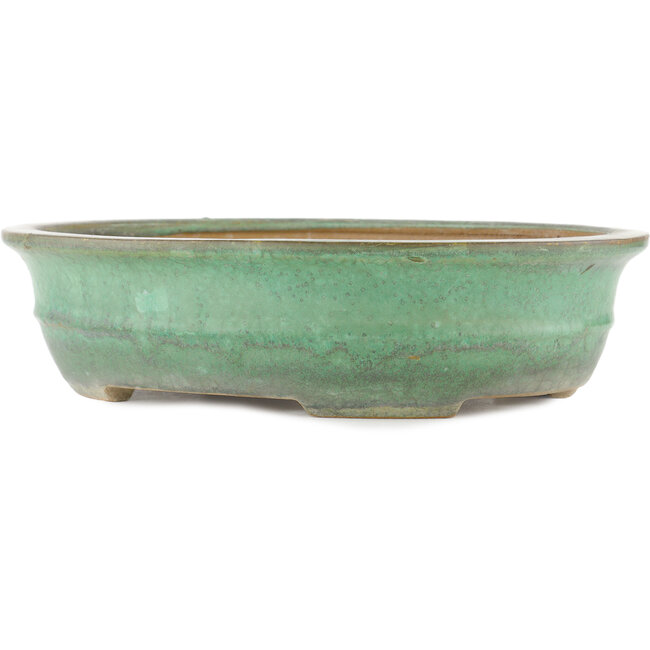 Vaso bonsai ovale verde di Yamafusa - 345 x 270 x 80 mm