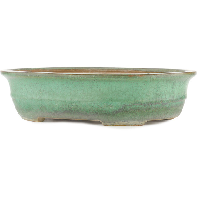 Ovale groene bonsaipot van Yamafusa - 345 x 270 x 80 mm