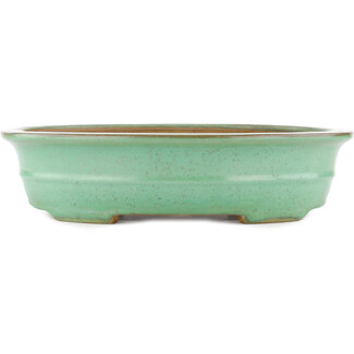  Yamafusa - Takehiko Koie Pot à bonsaï vert ovale de 345 mm par Yamafusa, Tokoname, Japon