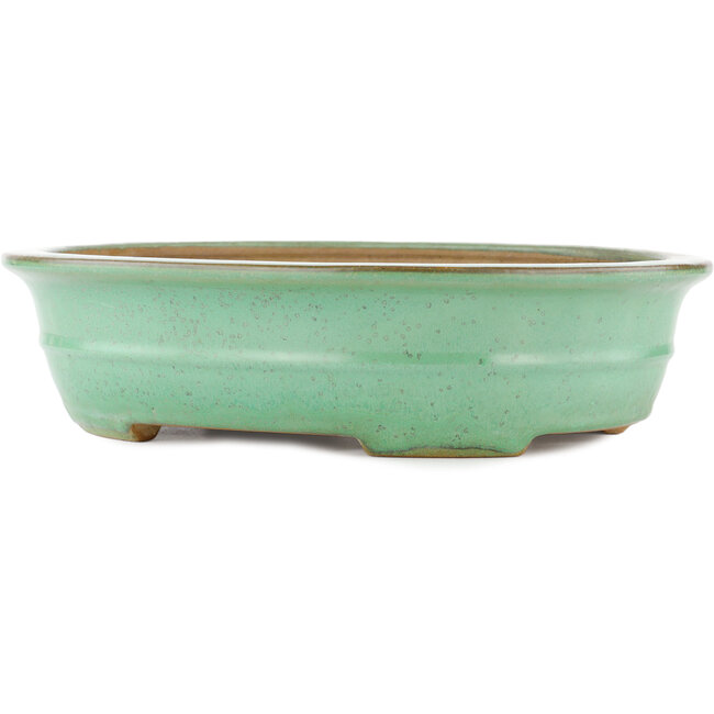 Pot à bonsaï ovale vert par Yamafusa - 345 x 275 x 80 mm