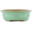 Oval green bonsai pot by Yamafusa - 345 x 275 x 80 mm