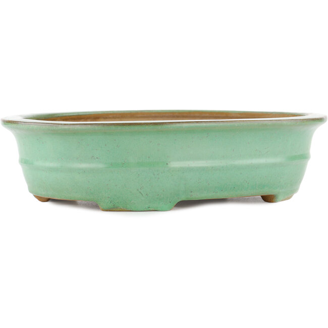 Vaso bonsai ovale verde di Yamafusa - 345 x 275 x 80 mm