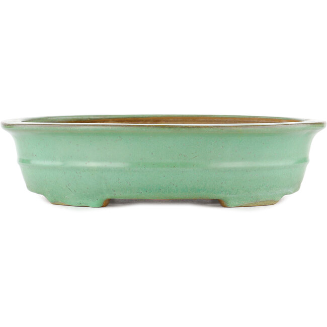 Pot à bonsaï ovale vert par Yamafusa - 345 x 275 x 80 mm