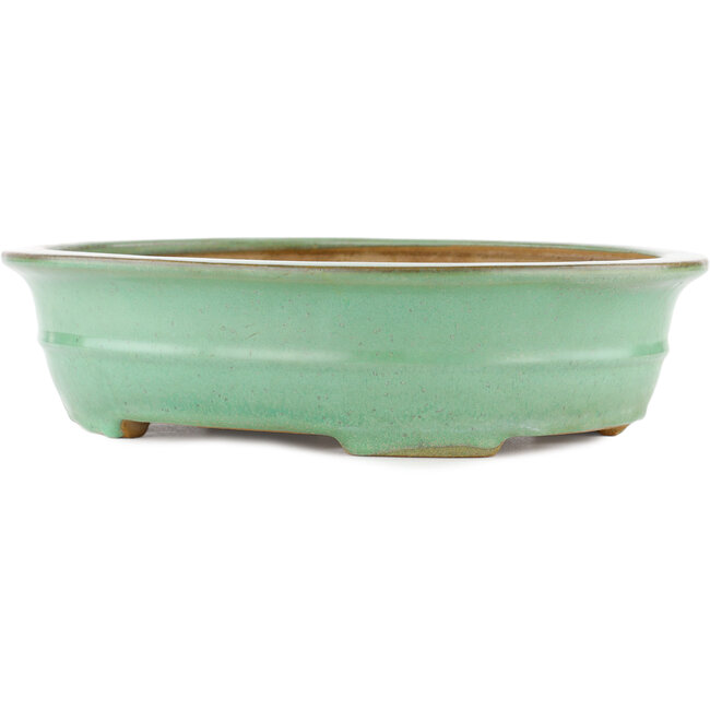 Vaso bonsai ovale verde di Yamafusa - 345 x 275 x 80 mm