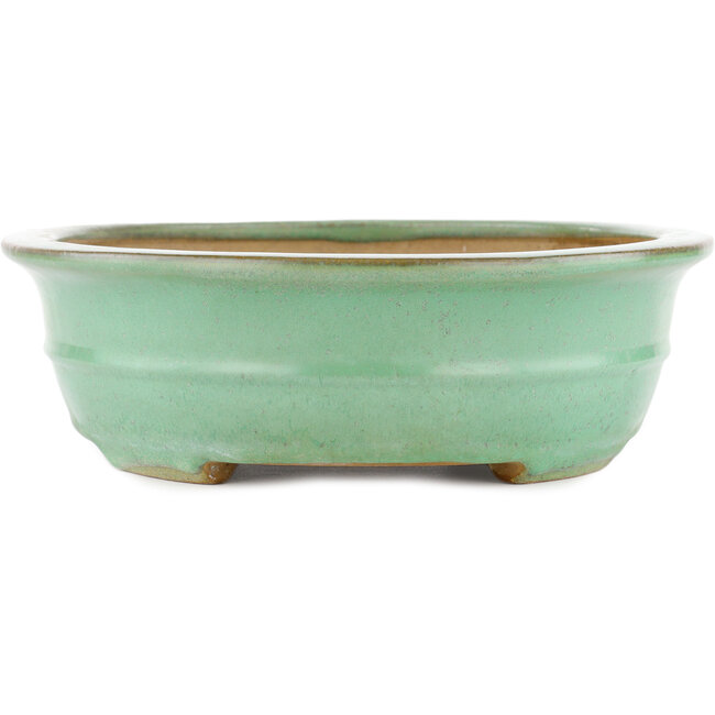 Oval green bonsai pot by Yamafusa - 345 x 275 x 80 mm