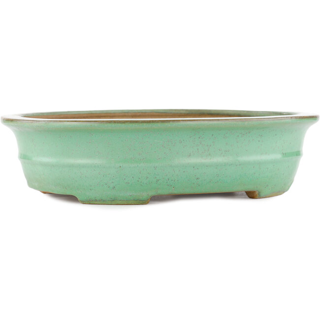 Vaso bonsai ovale verde di Yamafusa - 345 x 275 x 80 mm