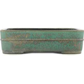 Koyo - Koichirou Aiba  320 mm rectangular green bonsai pot by Koyou, Tokoname, Japan