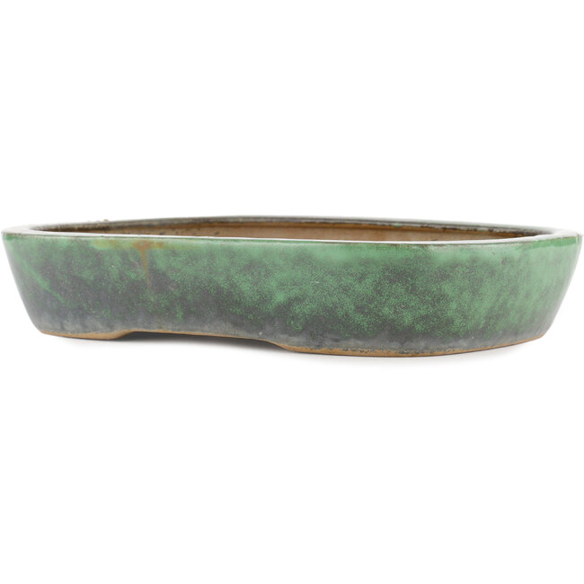 Pot à bonsaï ovale vert par Shuhou - 350 x 265 x 60 mm