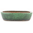 Pot à bonsaï ovale vert par Shuhou - 350 x 265 x 60 mm