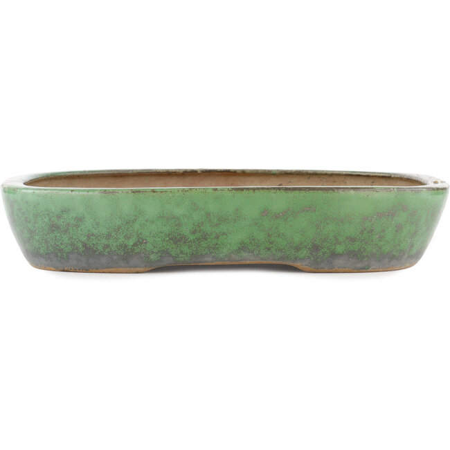 Vaso bonsai ovale verde di Shuhou - 350 x 265 x 60 mm