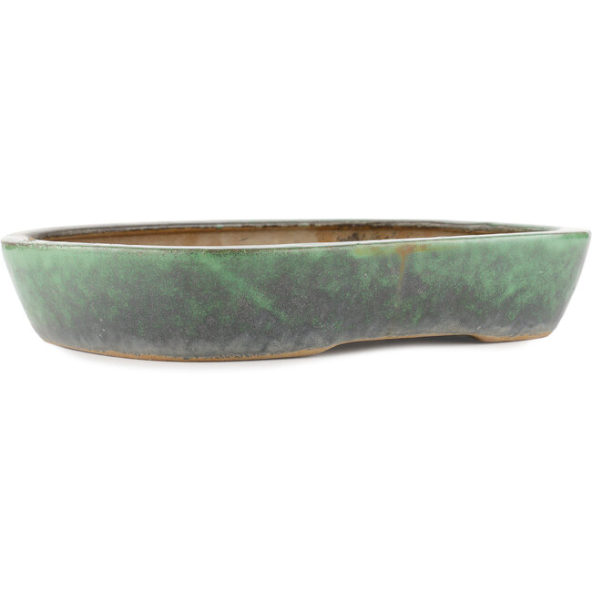 Pot à bonsaï ovale vert par Shuhou - 350 x 265 x 60 mm
