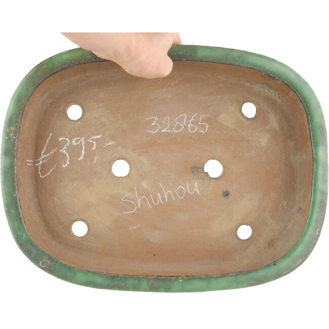 Ovale groene bonsaipot van Shuhou - 350 x 265 x 60 mm
