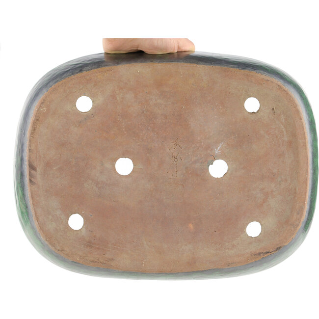 Pot à bonsaï ovale vert par Shuhou - 350 x 265 x 60 mm
