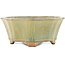 Lotus green bonsai pot by Gyouzan - 310 x 310 x 120 mm