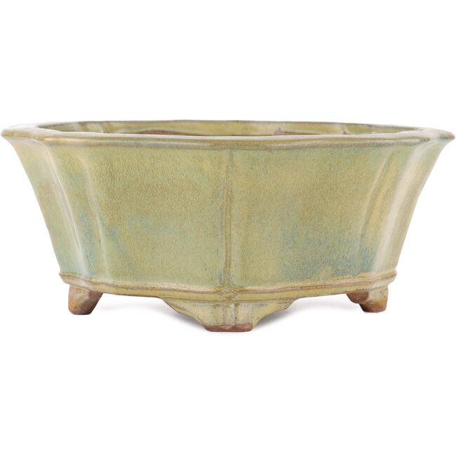 Lotus green bonsai pot by Gyouzan - 310 x 310 x 120 mm